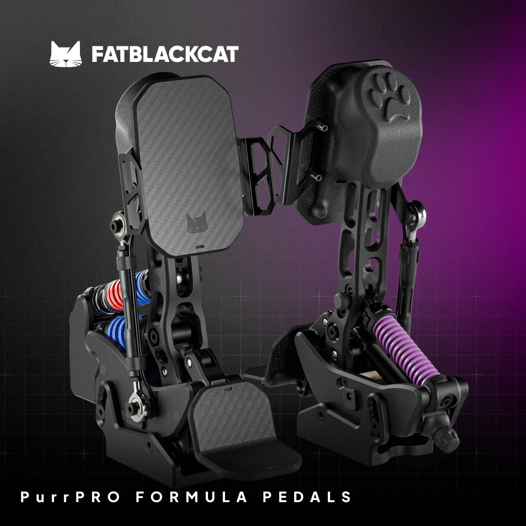 black cat pedals PurrPRO Formula Pedals – Master Rig